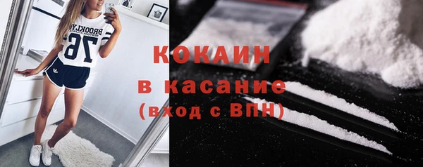 индика Беломорск