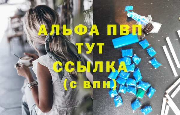 индика Беломорск