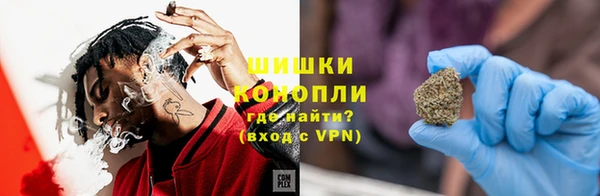 индика Беломорск