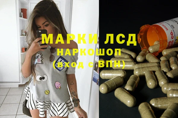 индика Беломорск