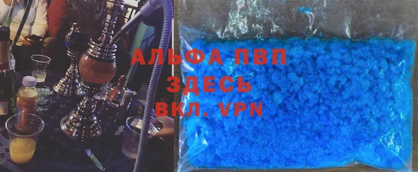 индика Беломорск
